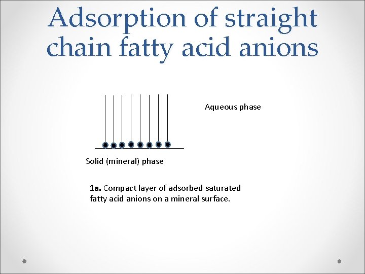 Adsorption of straight chain fatty acid anions Aqueous phase Solid (mineral) phase 1 a.