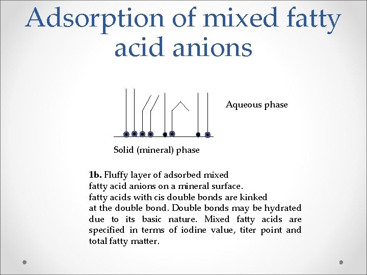 Adsorption of mixed fatty acid anions Aqueous phase Solid (mineral) phase 1 b. Fluffy