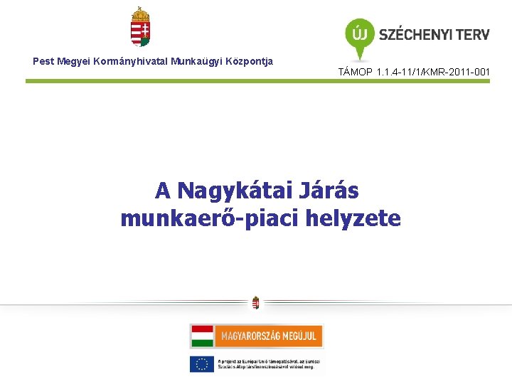 Pest Megyei Kormányhivatal Munkaügyi Központja TÁMOP 1. 1. 4 -11/1/KMR-2011 -001 A Nagykátai Járás