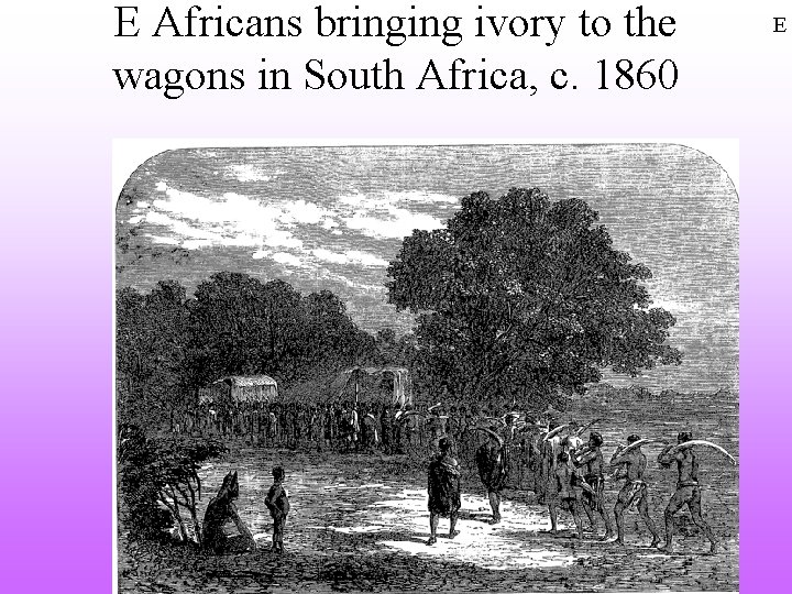 E Africans bringing ivory to the wagons in South Africa, c. 1860 E 