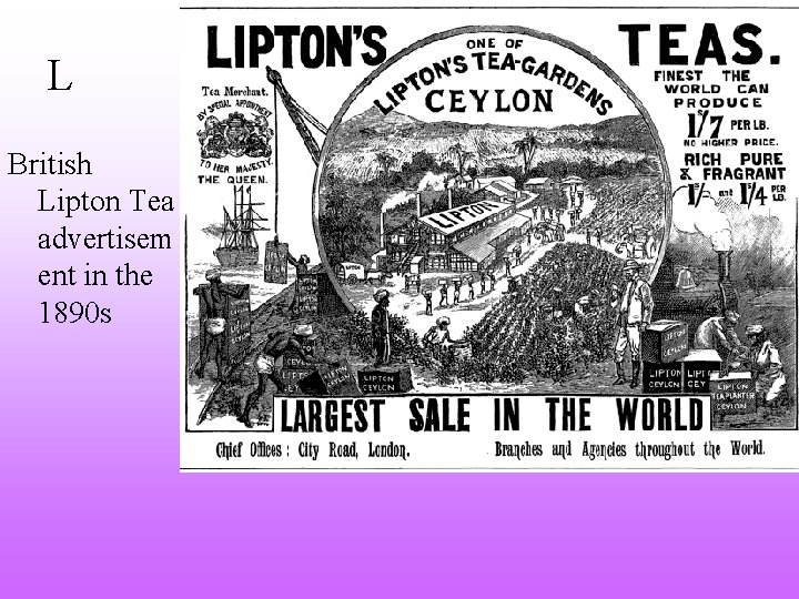 L British Lipton Tea advertisem ent in the 1890 s 