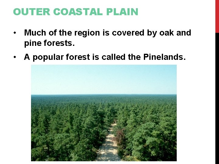 OUTER COASTAL PLAIN • Much of the region is covered by oak and pine