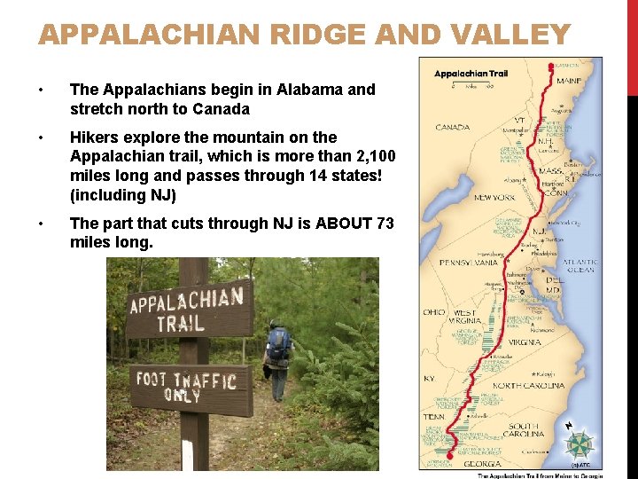 APPALACHIAN RIDGE AND VALLEY • The Appalachians begin in Alabama and stretch north to