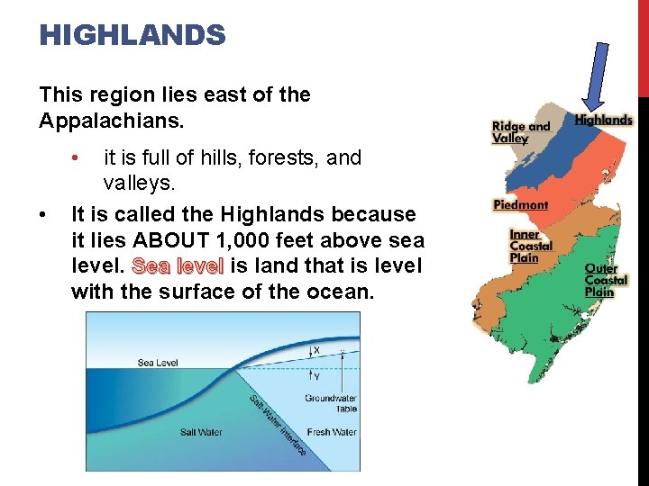 HIGHLANDS This region lies east of the Appalachians. • • it is full of