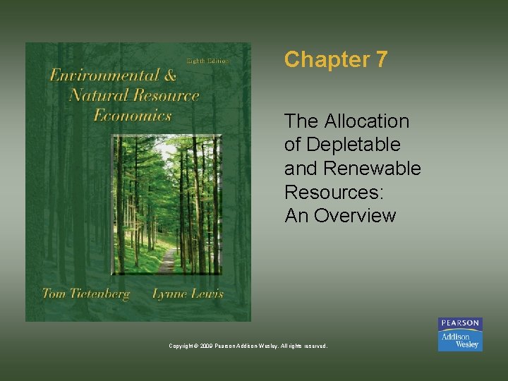 Chapter 7 The Allocation of Depletable and Renewable Resources: An Overview Copyright © 2009