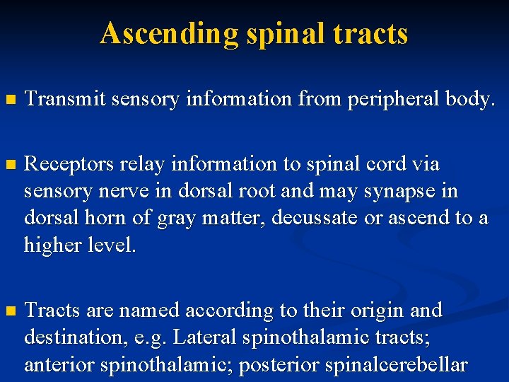 Ascending spinal tracts n Transmit sensory information from peripheral body. n Receptors relay information
