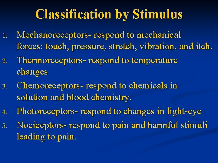 Classification by Stimulus 1. 2. 3. 4. 5. Mechanoreceptors- respond to mechanical forces: touch,