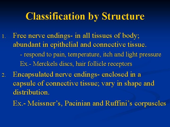 Classification by Structure 1. Free nerve endings- in all tissues of body; abundant in