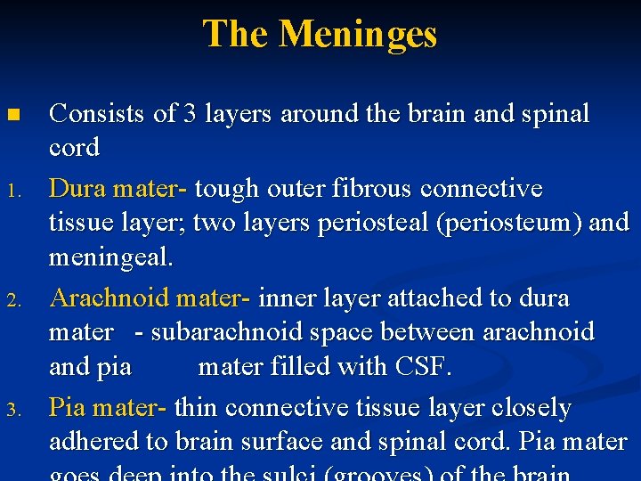 The Meninges n 1. 2. 3. Consists of 3 layers around the brain and