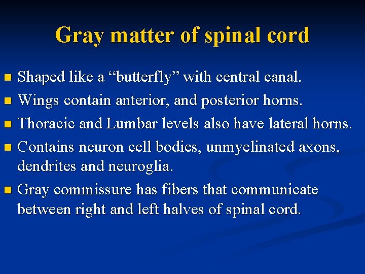 Gray matter of spinal cord Shaped like a “butterfly” with central canal. n Wings