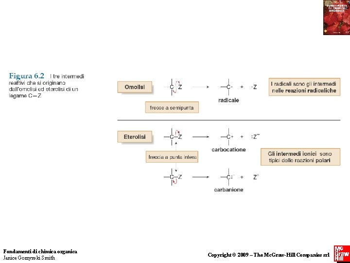 Fondamenti di chimica organica Janice Gorzynski Smith Copyright © 2009 – The Mc. Graw-Hill