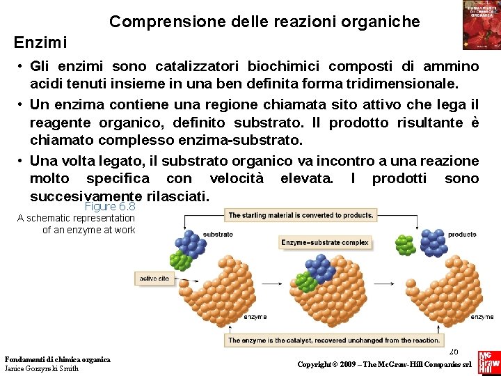 Comprensione delle reazioni organiche Enzimi • Gli enzimi sono catalizzatori biochimici composti di ammino