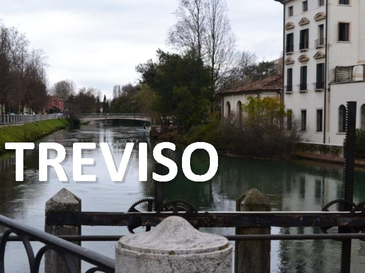 TREVISO 