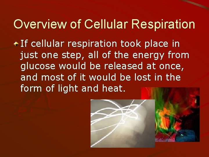 Overview of Cellular Respiration If cellular respiration took place in just one step, all