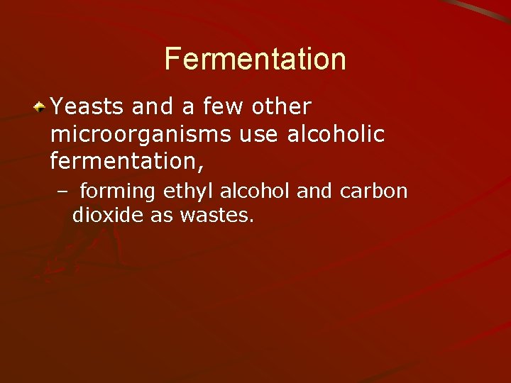 Fermentation Yeasts and a few other microorganisms use alcoholic fermentation, – forming ethyl alcohol
