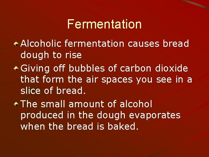 Fermentation Alcoholic fermentation causes bread dough to rise Giving off bubbles of carbon dioxide
