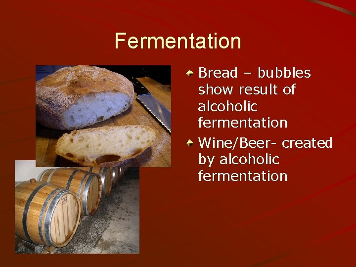 Fermentation Bread – bubbles show result of alcoholic fermentation Wine/Beer- created by alcoholic fermentation