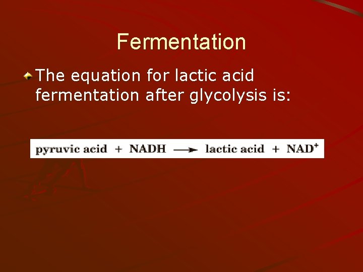 Fermentation The equation for lactic acid fermentation after glycolysis is: 