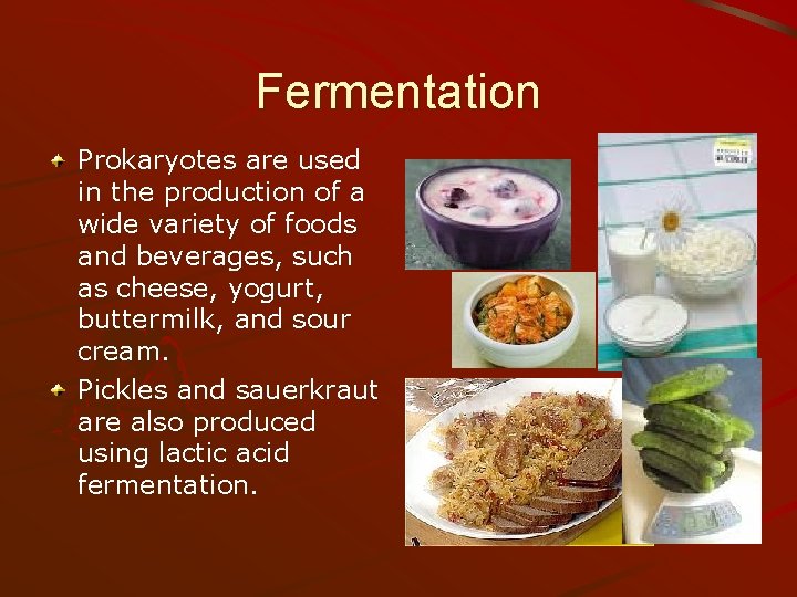 Fermentation Prokaryotes are used in the production of a wide variety of foods and