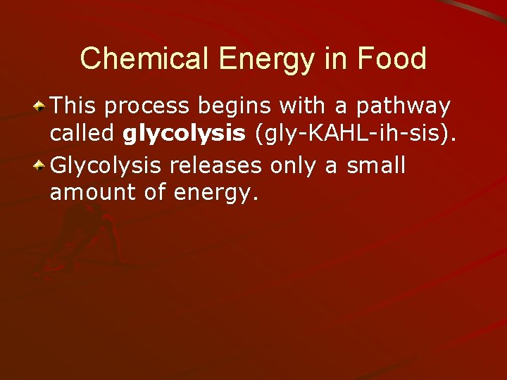 Chemical Energy in Food This process begins with a pathway called glycolysis (gly-KAHL-ih-sis). Glycolysis