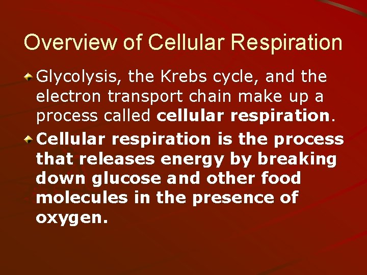 Overview of Cellular Respiration Glycolysis, the Krebs cycle, and the electron transport chain make