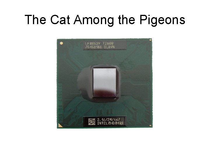 The Cat Among the Pigeons 