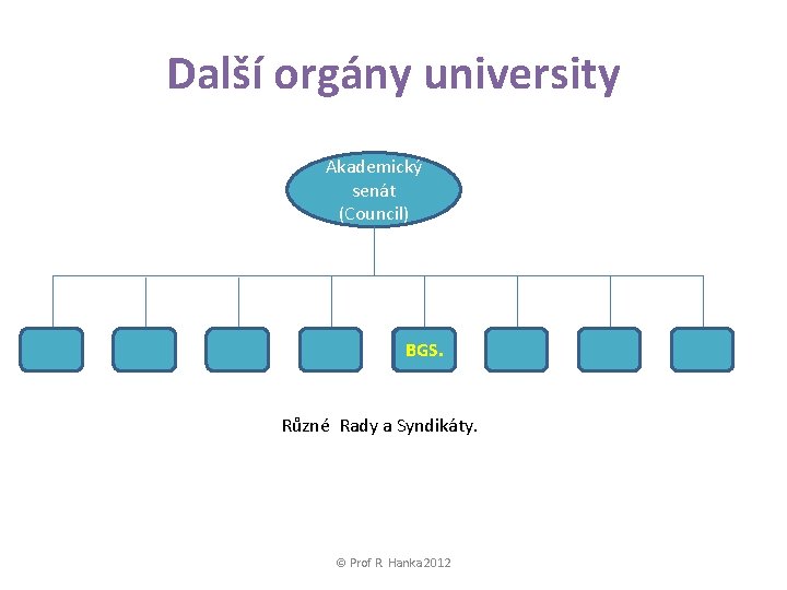 Další orgány university Akademický senát (Council) BGS. Různé Rady a Syndikáty. © Prof R.