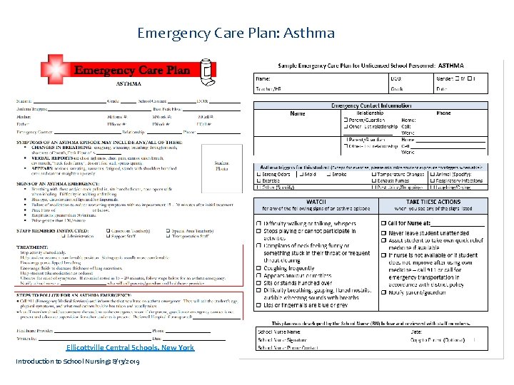 Emergency Care Plan: Asthma Ellicottville Central Schools, New York Introduction to School Nursing: 8/13/2019