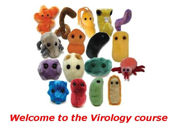 Welcome to the Virology course 