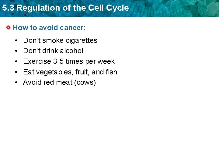 5. 3 Regulation of the Cell Cycle How to avoid cancer: • • •