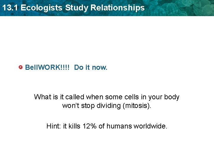 13. 1 Ecologists Study Relationships Bell. WORK!!!! Do it now. What is it called
