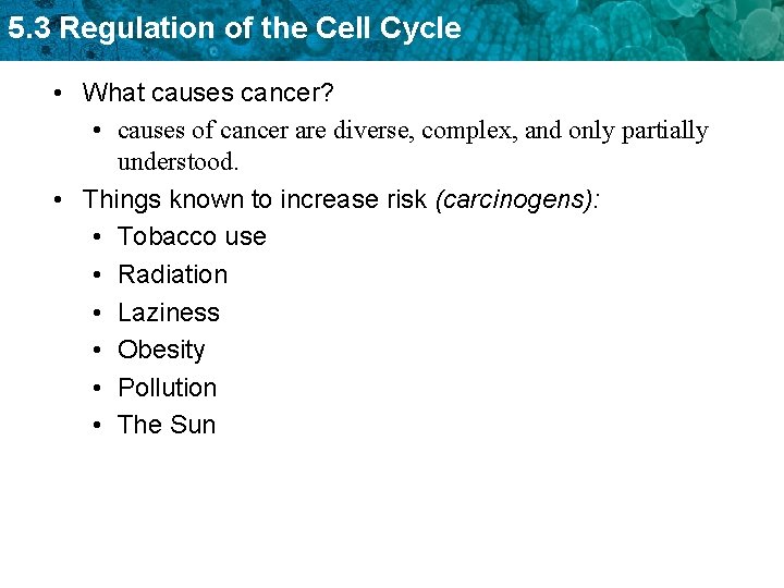 5. 3 Regulation of the Cell Cycle • What causes cancer? • causes of