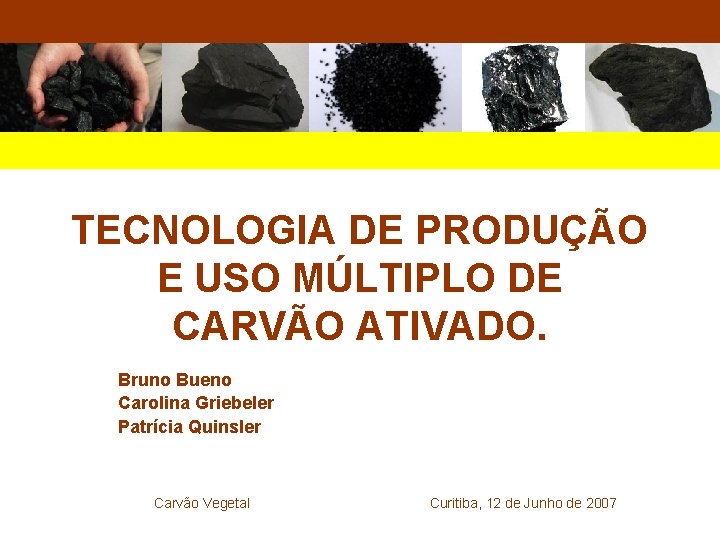 TECNOLOGIA DE PRODUÇÃO E USO MÚLTIPLO DE CARVÃO ATIVADO. Bruno Bueno Carolina Griebeler Patrícia