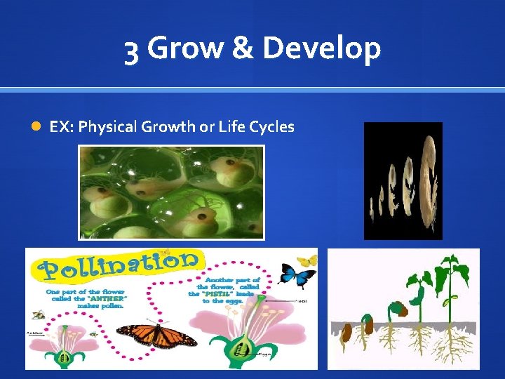 3 Grow & Develop EX: Physical Growth or Life Cycles 