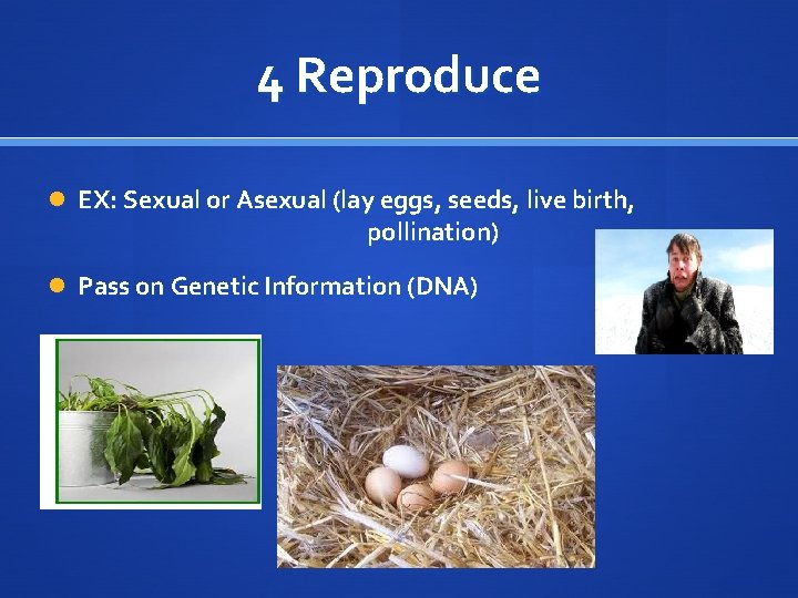 4 Reproduce EX: Sexual or Asexual (lay eggs, seeds, live birth, pollination) Pass on