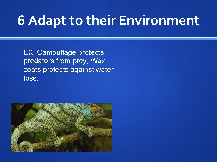 6 Adapt to their Environment EX: Camouflage protects predators from prey, Wax coats protects