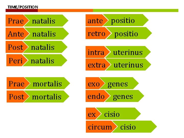 TIME/POSITION Prae natalis ante positio Ante natalis retro positio intra uterinus Post natalis Peri