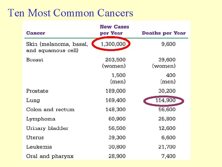 Ten Most Common Cancers Ten Most Common Cancers