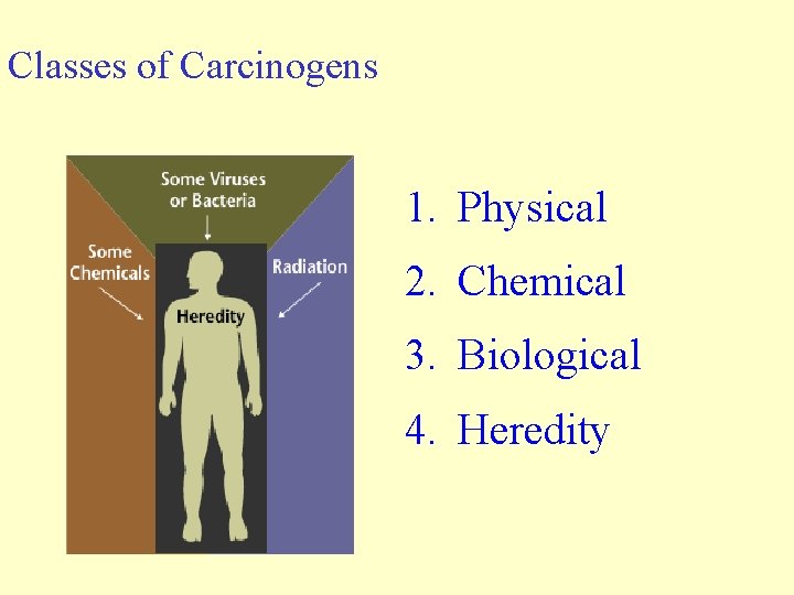Classes of Carcinogens 1. Physical 2. Chemical 3. Biological 4. Heredity Classes of Carcinogens 1. Physical 2. Chemical 3. Biological 4. Heredity