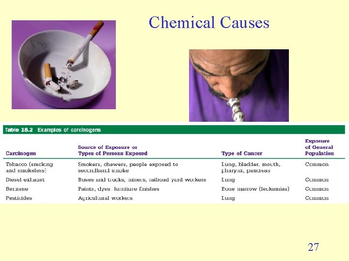 Chemical Causes 27 Chemical Causes 27