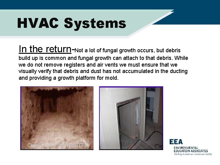 HVAC Systems In the return-Not a lot of fungal growth occurs, but debris build