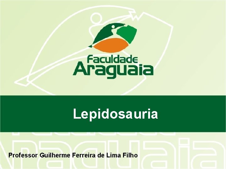 Lepidosauria Professor Guilherme Ferreira de Lima Filho 