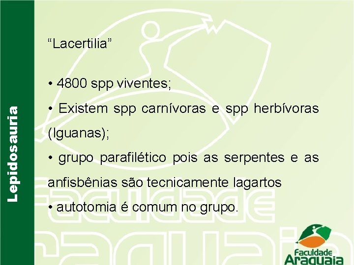 “Lacertilia” Lepidosauria • 4800 spp viventes; • Existem spp carnívoras e spp herbívoras (Iguanas);