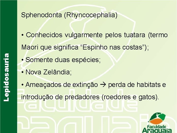 Sphenodonta (Rhyncocephalia) • Conhecidos vulgarmente pelos tuatara (termo Lepidosauria Maori que significa “Espinho nas