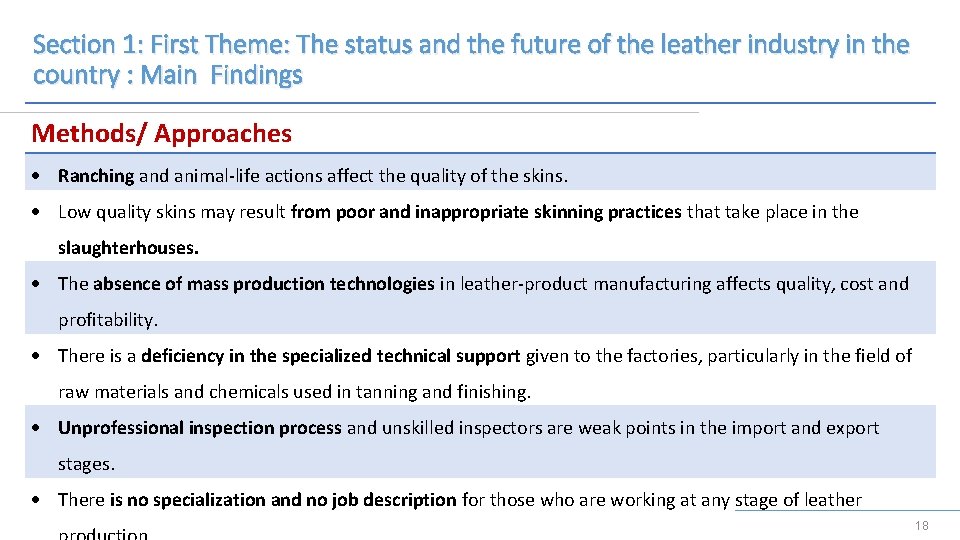 Section 1: First Theme: The status and the future of the leather industry in