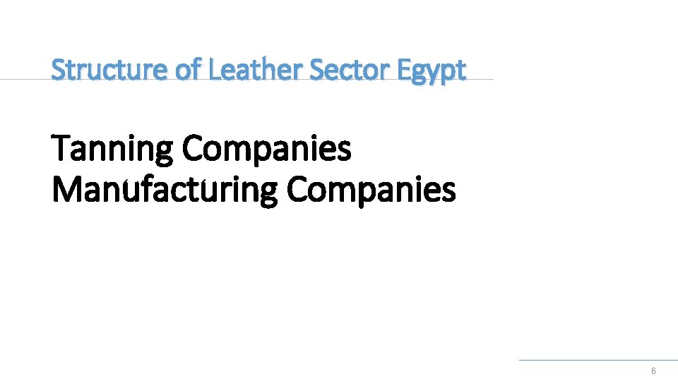 Structure of Leather Sector Egypt Tanning Companies Manufacturing Companies 6 