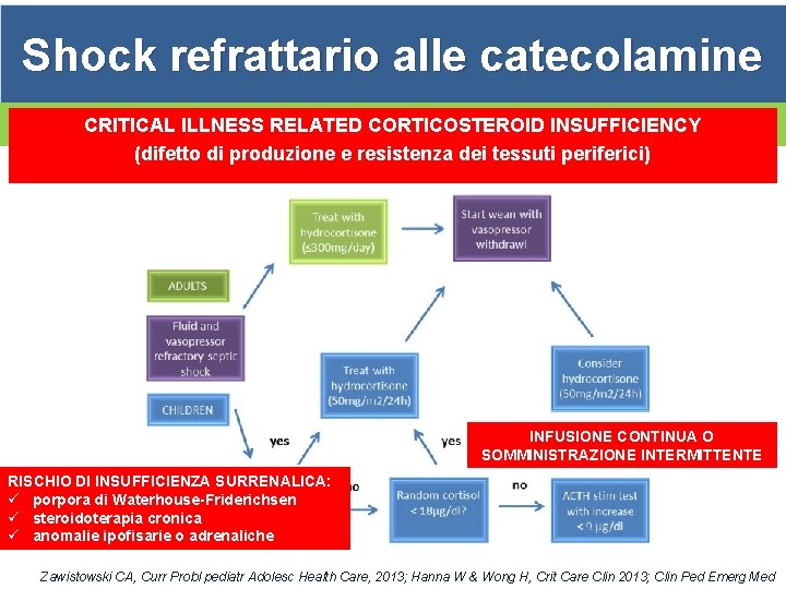 Shock refrattario alle catecolamine CRITICAL ILLNESS SOMMINISTRAZIONE RELATED CORTICOSTEROID INSUFFICIENCY VALUTAZIONE IDROCORTISONE (difetto di
