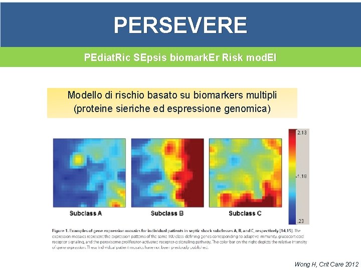 PERSEVERE PEdiat. Ric SEpsis biomark. Er Risk mod. El Modello di rischio basato su