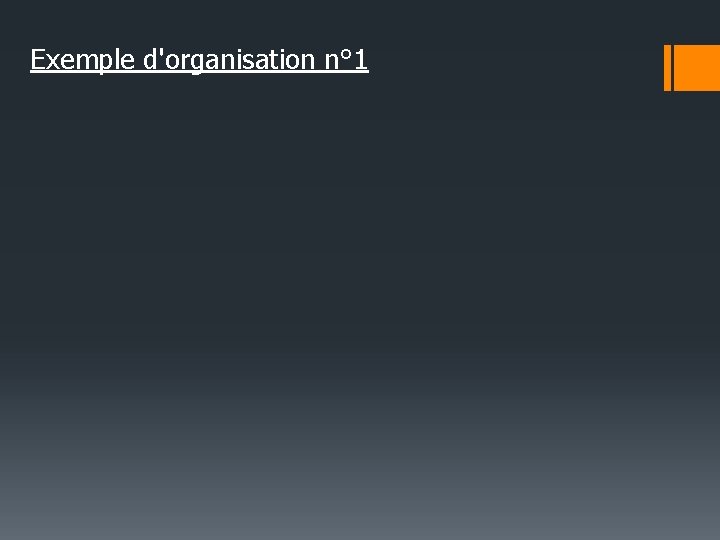 Exemple d'organisation n° 1 