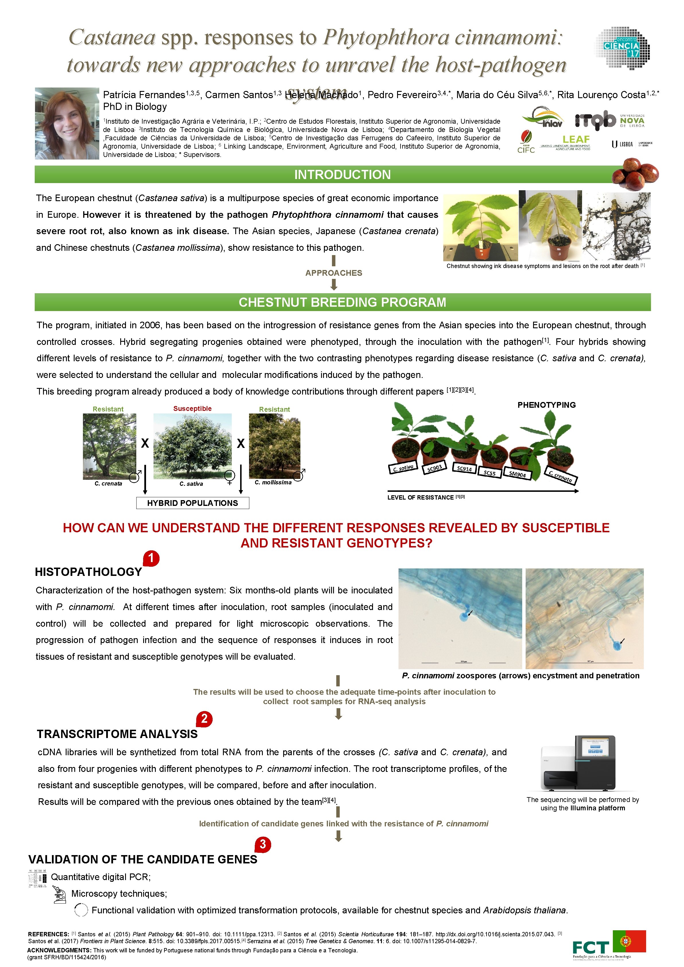 Castanea spp. responses to Phytophthora cinnamomi: towards new approaches to unravel the host-pathogen Patrícia